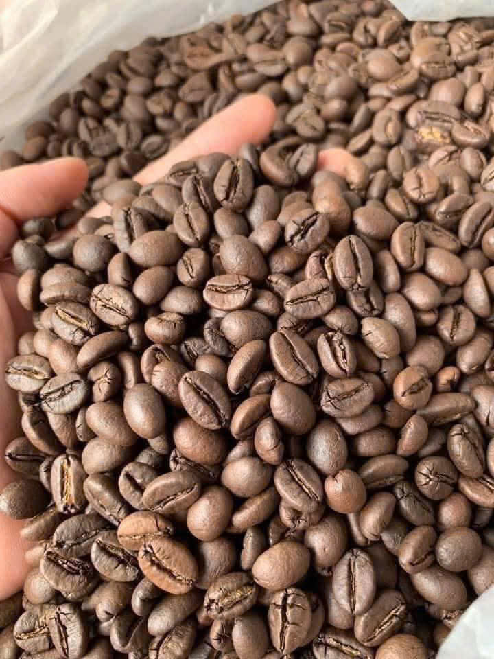 Hạt cà phê rang mộc